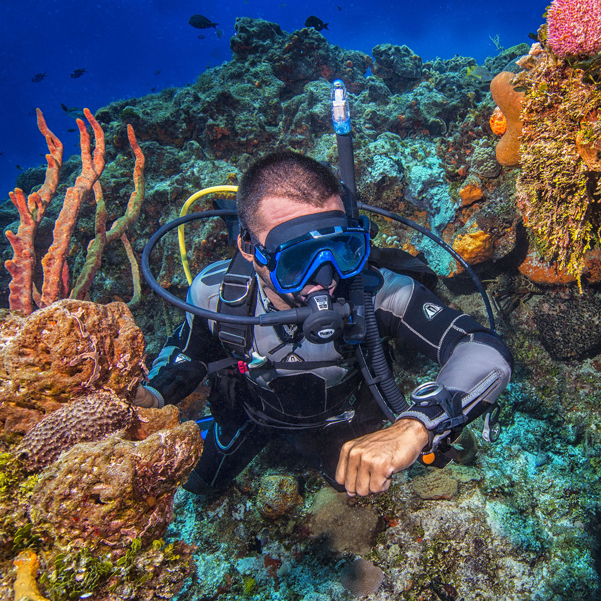 6_10 Instagram 2016 Diver